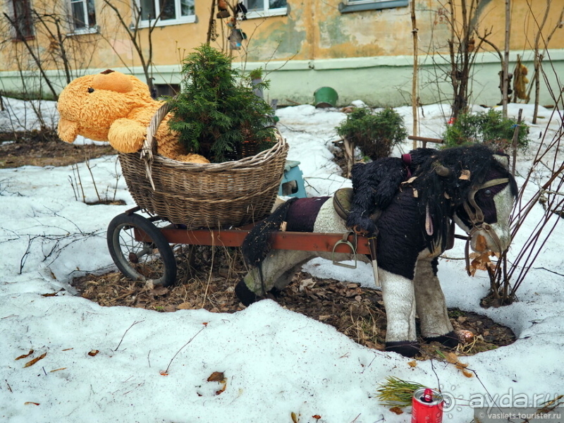 Дмитров-квест за Царевной-лягушкой