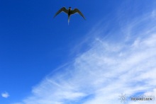 Исландия. История двухнедельного путешествия.