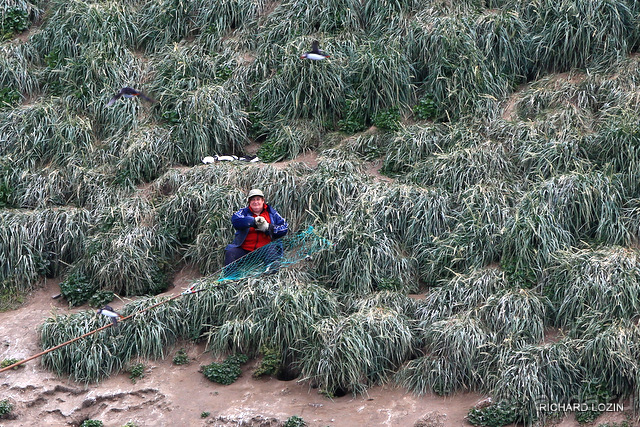 Исландия. История двухнедельного путешествия.