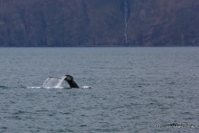 Исландия. История двухнедельного путешествия.