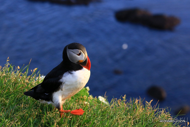 Исландия. История двухнедельного путешествия.
