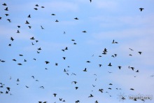 Исландия. История двухнедельного путешествия.