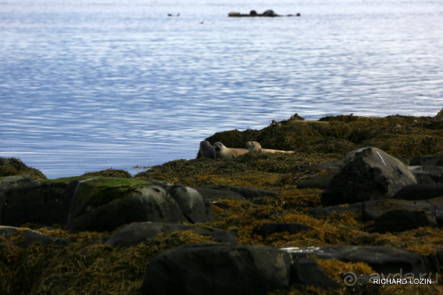 Исландия. История двухнедельного путешествия.