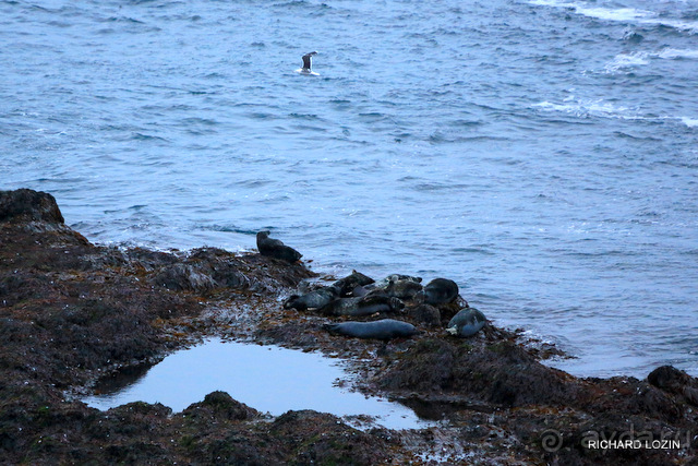 Исландия. История двухнедельного путешествия.