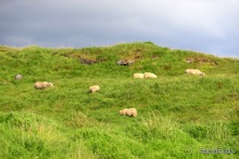 Исландия. История двухнедельного путешествия.