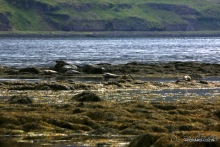 Исландия. История двухнедельного путешествия.