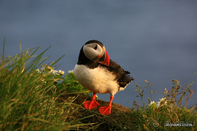 Исландия. История двухнедельного путешествия.