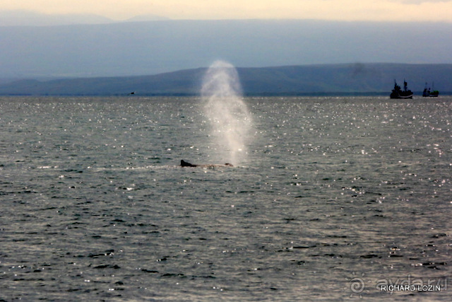 Исландия. История двухнедельного путешествия.