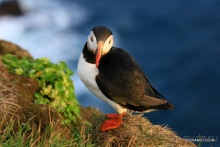 Исландия. История двухнедельного путешествия.