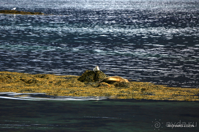 Исландия. История двухнедельного путешествия.