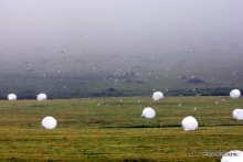 Исландия. История двухнедельного путешествия.