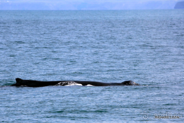 Исландия. История двухнедельного путешествия.