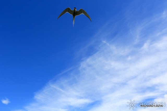 Исландия. История двухнедельного путешествия.