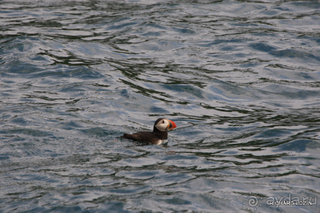 Исландия. История двухнедельного путешествия.