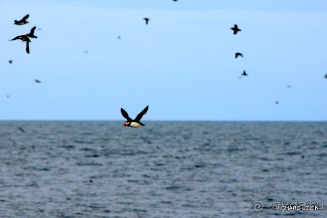 Исландия. История двухнедельного путешествия.