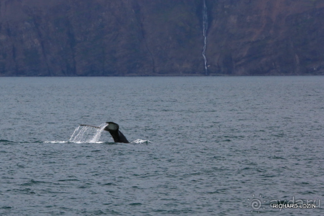 Исландия. История двухнедельного путешествия.
