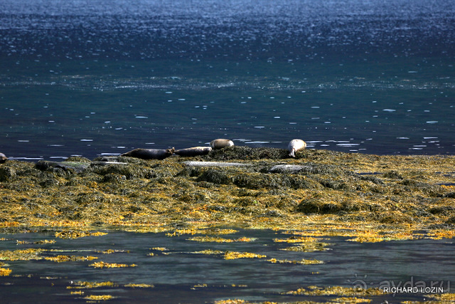 Исландия. История двухнедельного путешествия.