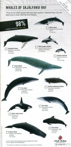 Исландия. История двухнедельного путешествия.