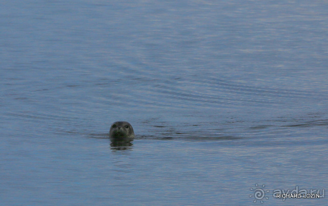 Исландия. История двухнедельного путешествия.