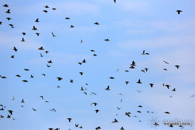 Исландия. История двухнедельного путешествия.