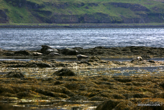 Исландия. История двухнедельного путешествия.