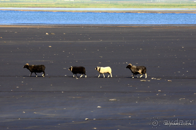 Исландия. История двухнедельного путешествия.
