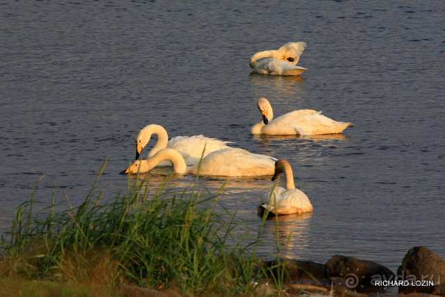 Исландия. История двухнедельного путешествия.
