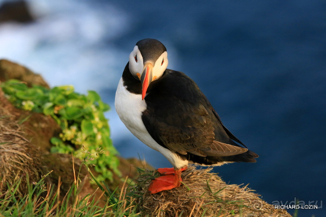 Исландия. История двухнедельного путешествия.