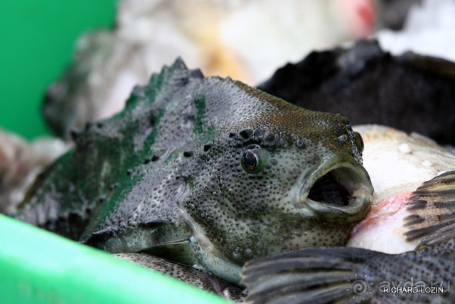 Исландия. История двухнедельного путешествия.