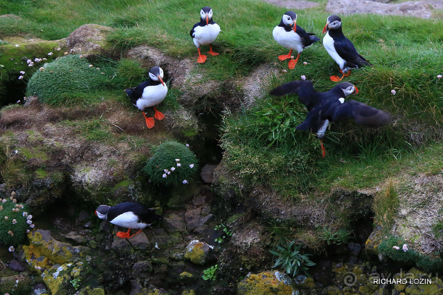 Исландия. История двухнедельного путешествия.