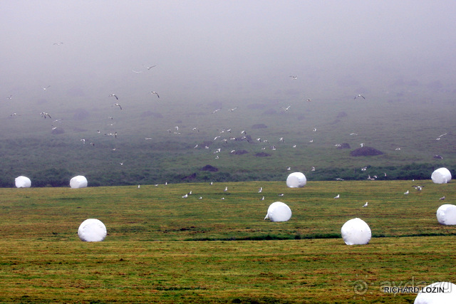 Исландия. История двухнедельного путешествия.