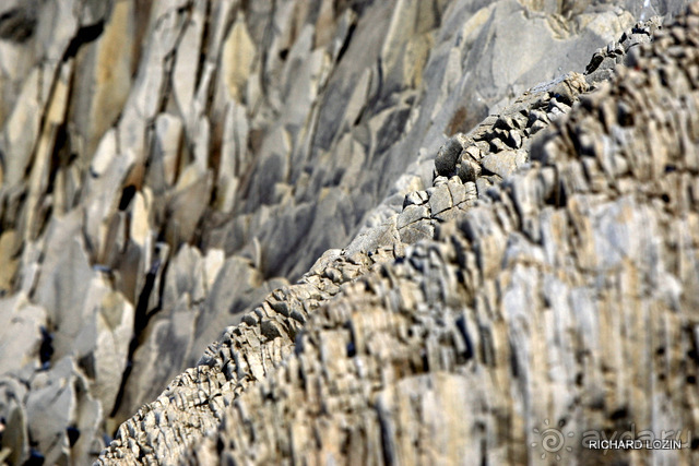 Исландия. История двухнедельного путешествия.