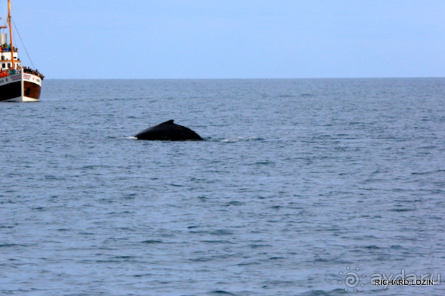 Исландия. История двухнедельного путешествия.