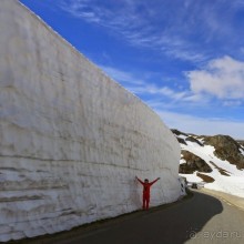 Путешествие в Норвегию, Grand Voyage, или "Кажется, что-то пошло не так"