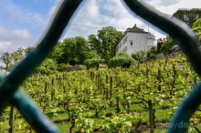 Альбом отзыва "Париж, я люблю Тебя!"