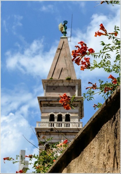 Страна благоСловения: Пиран