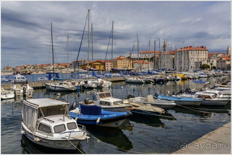 фото Копера