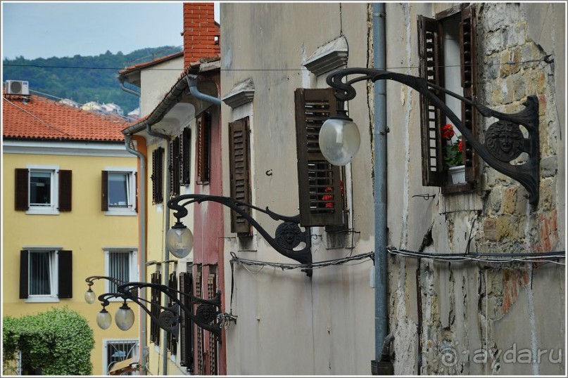 фото Копера