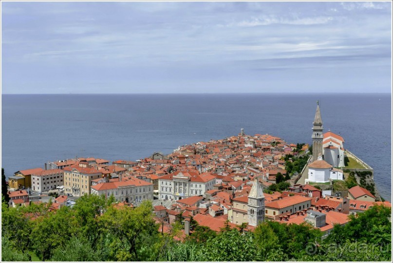 Страна благоСловения: Пиран