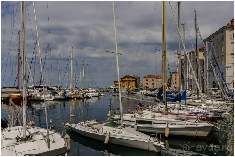 фото Копера