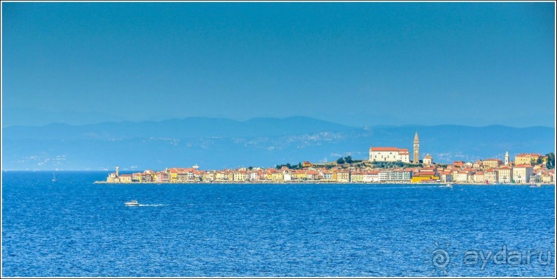 фото Копера