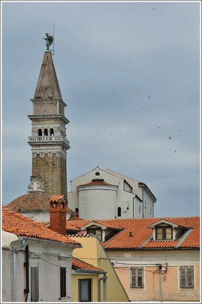 фото Копера