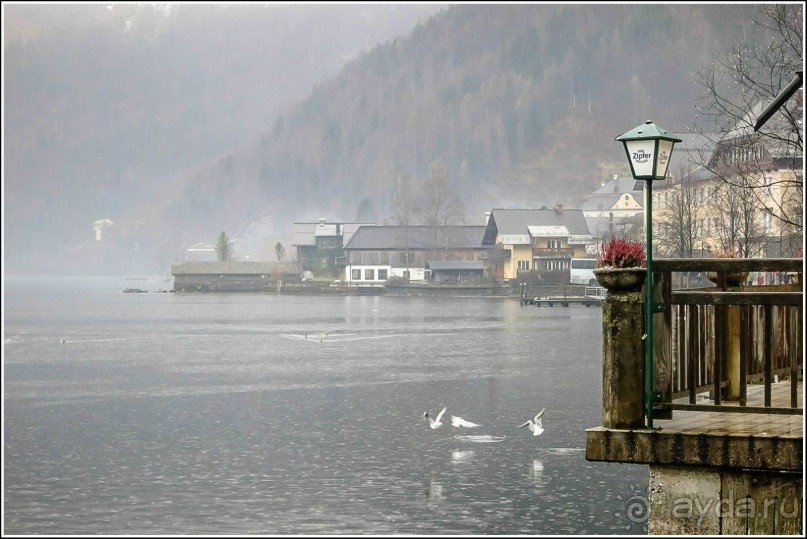 Альбом отзыва "Хальштатт - дас ист шён"