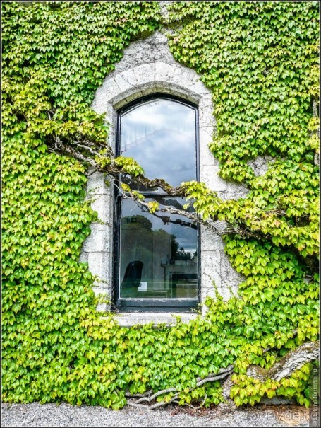 Ирландия глазами дилетанта