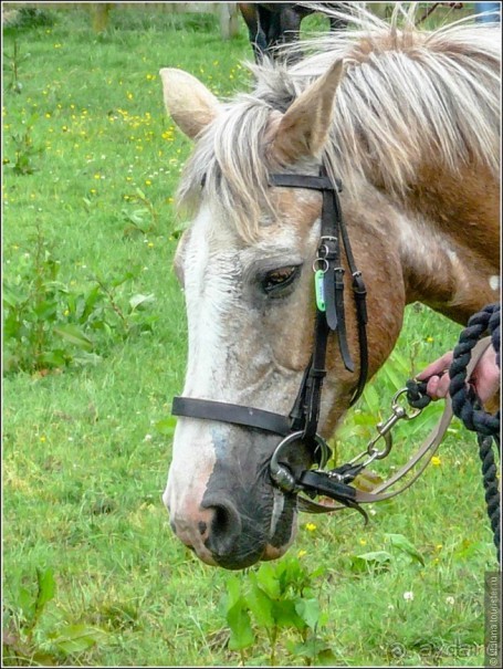 Ирландия глазами дилетанта