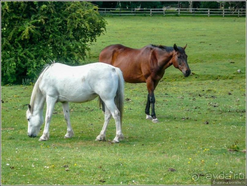 Ирландия глазами дилетанта
