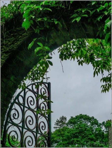 Ирландия глазами дилетанта