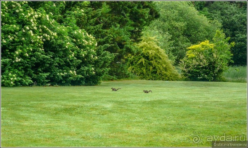 Ирландия глазами дилетанта