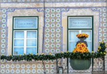 Лиссабон — высоко сижу, далеко гляжу