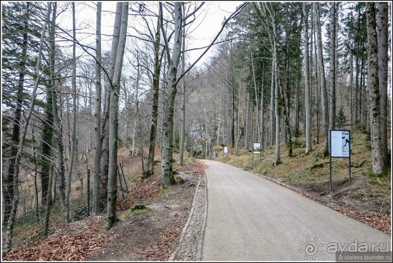 Сказочный Швангау